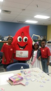 20150502_104850 - Copy